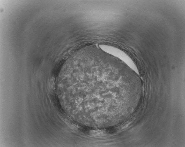 X0000087320511200705041718