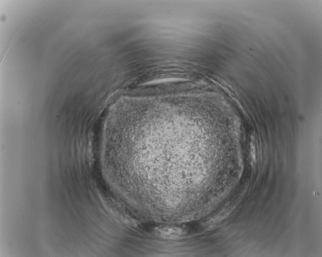 X0000087320512200705041718