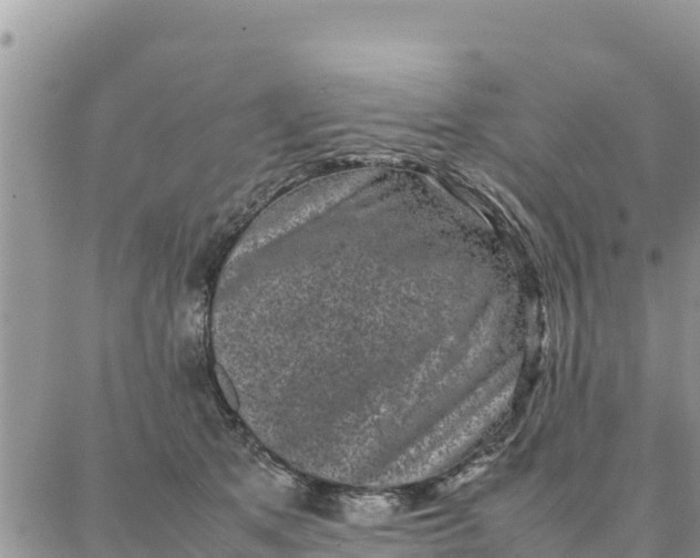 X0000087320513200705041718