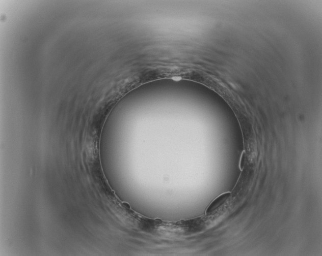 X0000087320515200705041718