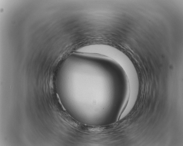 X0000087320516200705041718