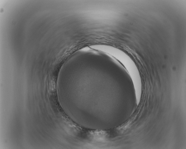 X0000087320517200705041718