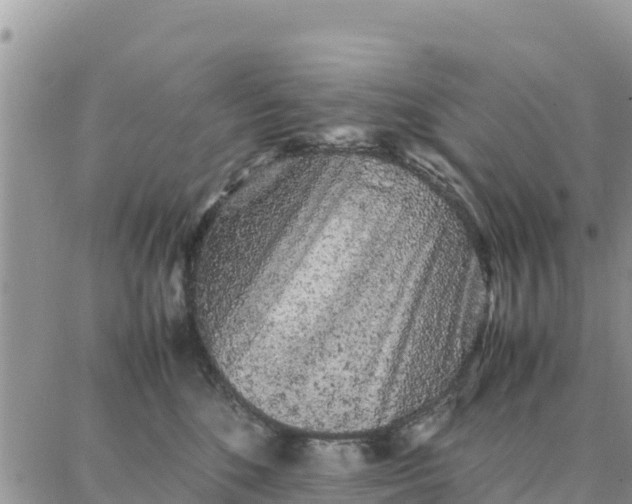 X0000087320520200705041718