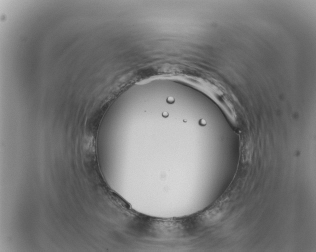 X0000087320521200705041717