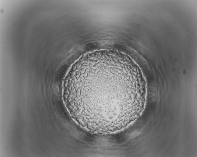 X0000087320523200705041717