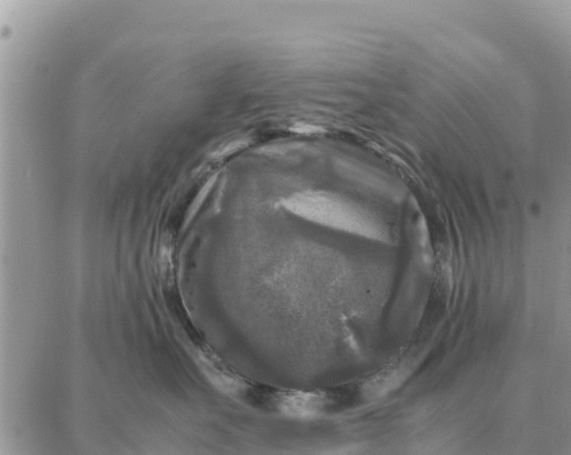 X0000087320527200705041717