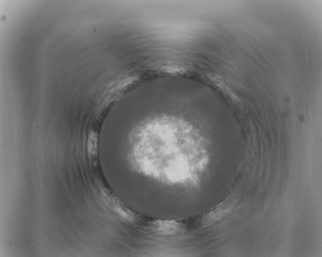 X0000087320528200705041717