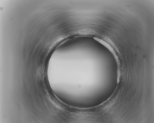 X0000087320530200705041717