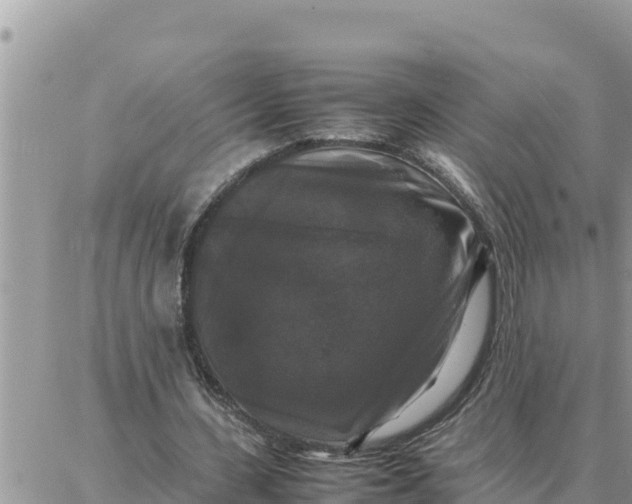 X0000087320531200705041717