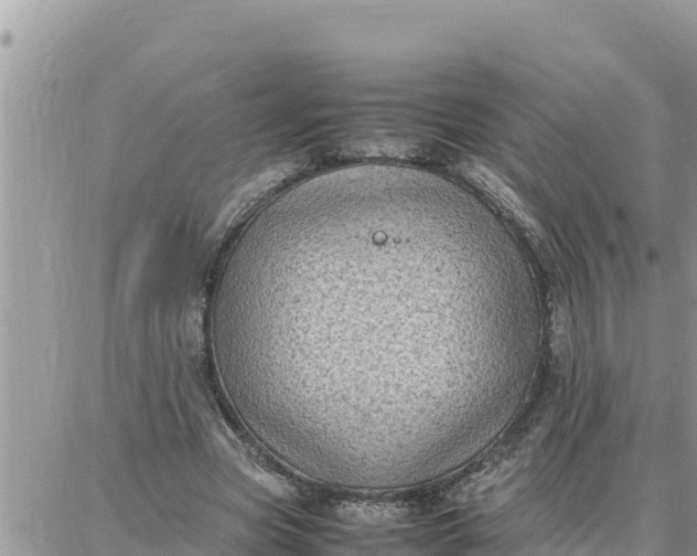 X0000087320537200705041717