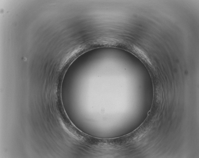 X0000087320538200705041717