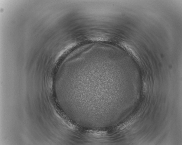 X0000087320539200705041717