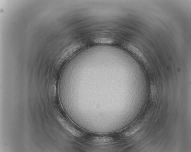 X0000087320541200705041717