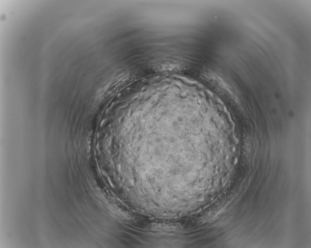 X0000087320545200705041717