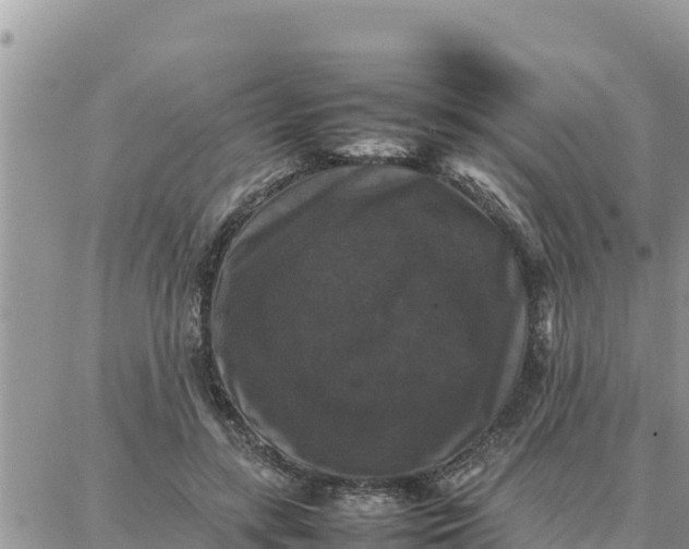 X0000087320547200705041717