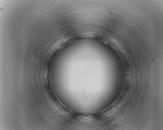 X0000087320548200705041717