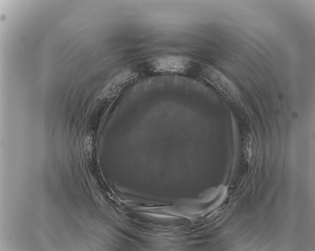 X0000087320551200705041717