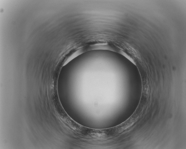 X0000087320552200705041717