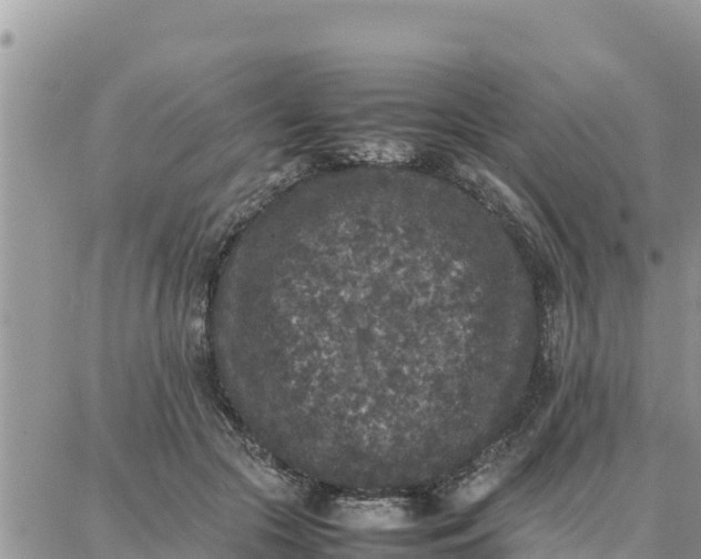 X0000087320553200705041717