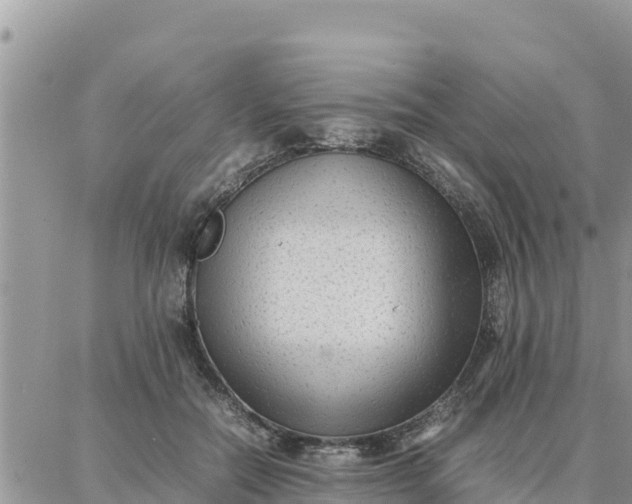 X0000087320554200705041717