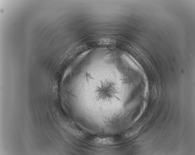 X0000087320557200705041717