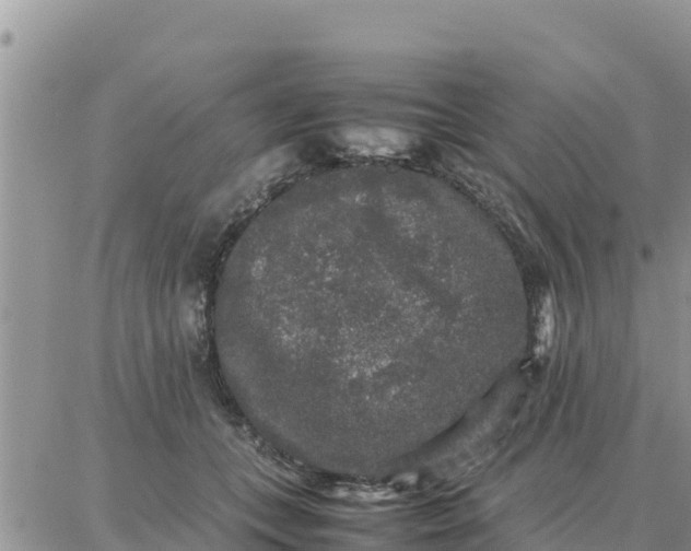 X0000087320559200705041717