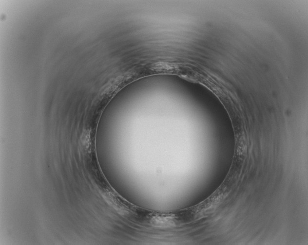 X0000087320560200705041717