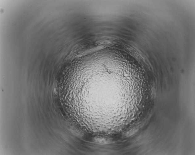 X0000087320561200705041717