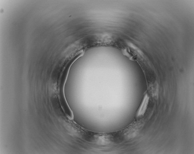 X0000087320564200705041717