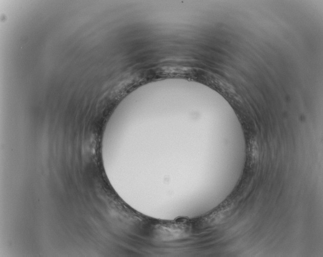 X0000087320567200705041717