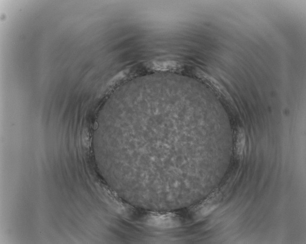 X0000087320569200705041717