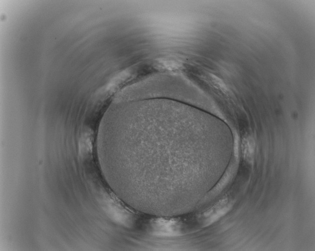 X0000087320570200705041717