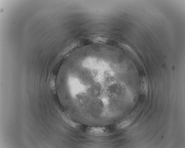 X0000087320573200705041717