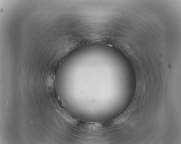 X0000087320576200705041717