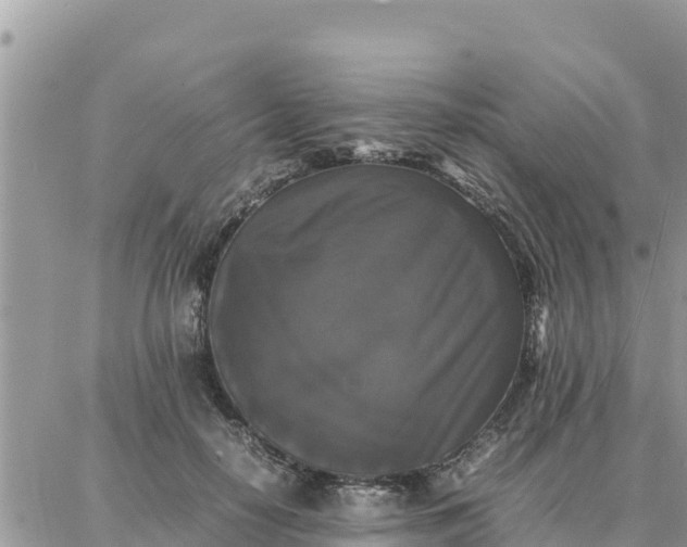 X0000087320650200705041715