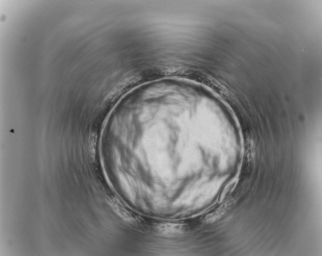 X0000087320664200705041716