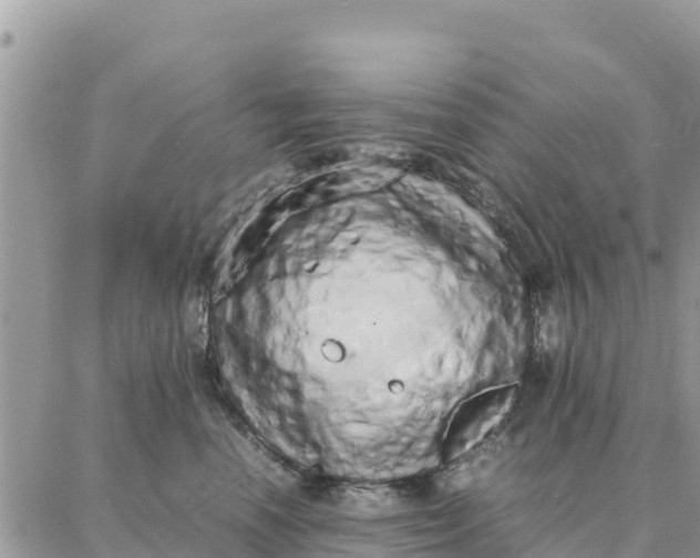 X0000087320666200705041716