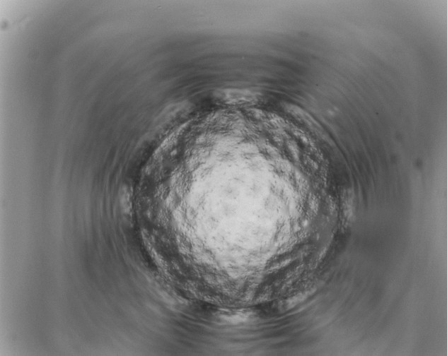X0000087320667200705041716