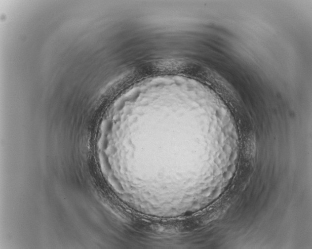X0000087320733200705041714