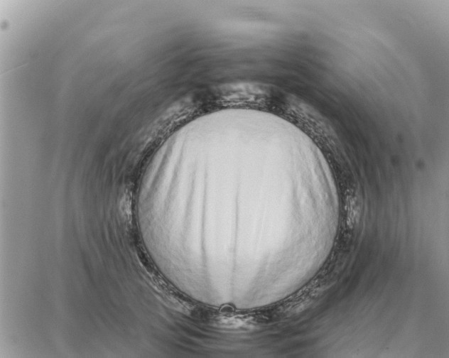 X0000087320753200705041714