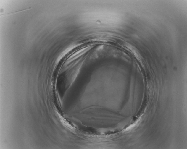X0000087320779200705041713