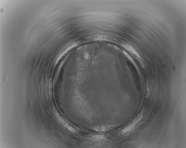 X0000087320798200705041713