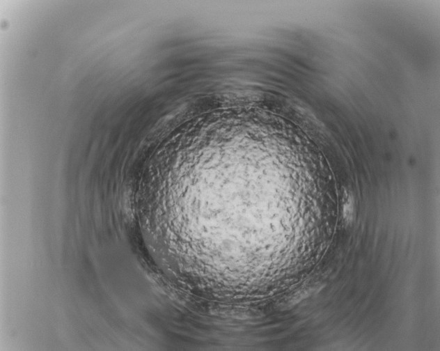 X0000087320819200705041712