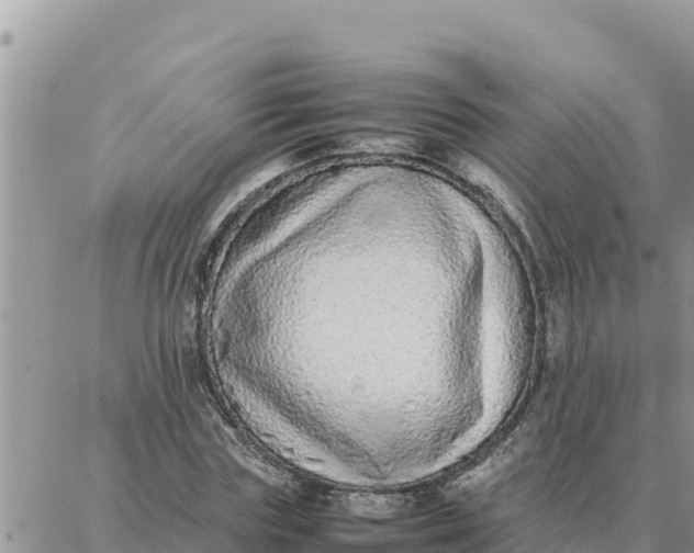 X0000087320827200705041712