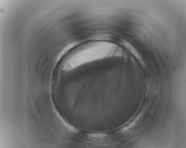 X0000087320853200705041712