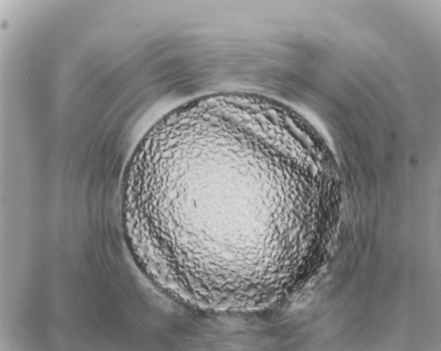 X0000087320911200705041711