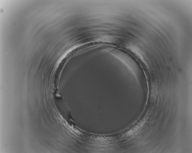 X0000087320923200705041711
