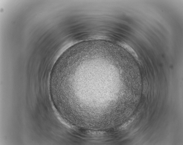 X0000087321039200705041709