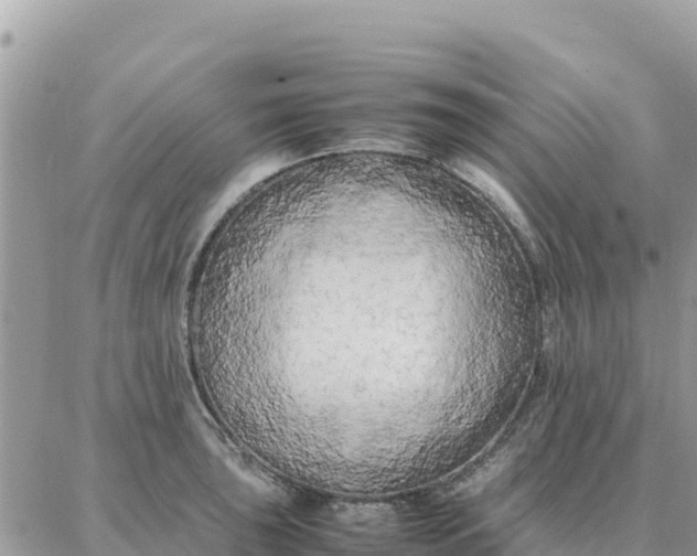 X0000087321043200705041709