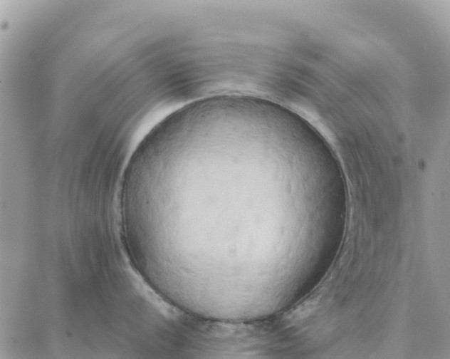 X0000087321056200705041710